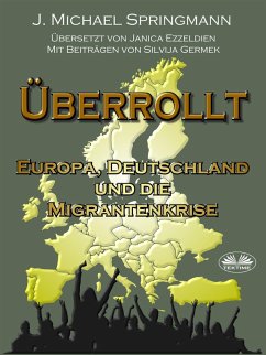 Überrollt (eBook, ePUB) - Springmann, J. Michael