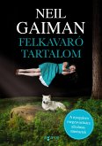 Felkavaró tartalom (eBook, ePUB)