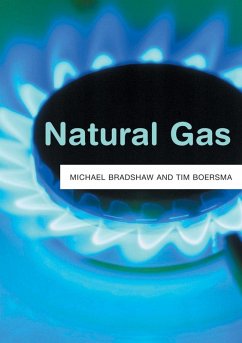Natural Gas (eBook, ePUB) - Bradshaw, Michael J.; Boersma, Tim