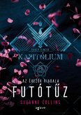 Futótuz (eBook, ePUB) Futótuz (eBook, ePUB)