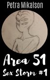 Area 51 Sex Storm #1 Her First Earth Man (eBook, ePUB)