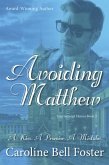 Avoiding Matthew (International Heroes, #3) (eBook, ePUB)