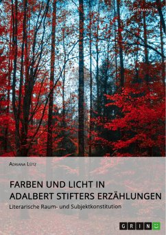 Farben und Licht in Adalbert Stifters Erzählungen. Literarische Raum- und Subjektkonstitution (eBook, PDF) - Lütz, Adriana