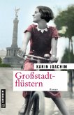Großstadtflüstern (eBook, ePUB)