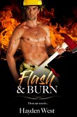 Flash & Burn (eBook, ePUB)