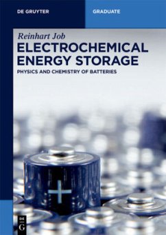 Electrochemical Energy Storage - Job, Reinhart