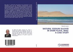 NATURAL SODIUM SULFATE IN SHARI PLAYA, IRAQ: A CASE STUDY