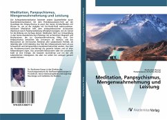 Meditation, Panpsychismus, Mengenwahrnehmung und Leistung