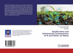 Ameliorative and Detrimental Consequences of N and Water on Maize