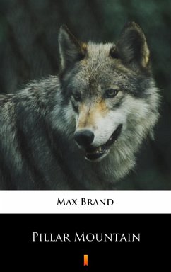 Pillar Mountain (eBook, ePUB) - Brand, Max