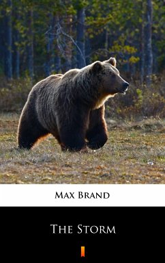 The Storm (eBook, ePUB) - Brand, Max