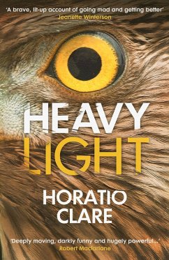 Heavy Light (eBook, ePUB) - Clare, Horatio