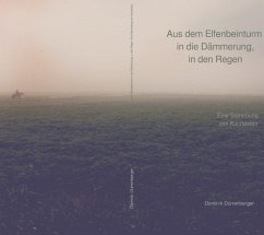 Aus dem Elfenbeinturm in die Dämmerung, in den Regen (eBook, ePUB) - Dürrenberger, Dominik