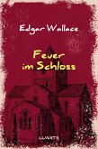 Feuer im Schloss (eBook, ePUB)