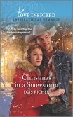 Christmas in a Snowstorm (eBook, ePUB)