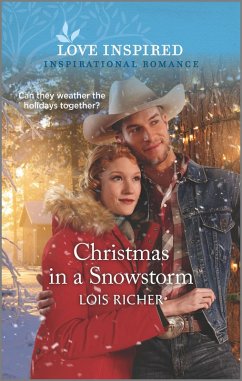 Christmas in a Snowstorm (eBook, ePUB) - Richer, Lois