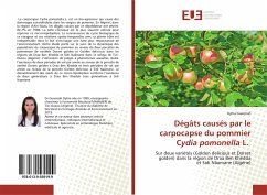 Dégâts causés par le carpocapse du pommier Cydia pomonella L. - Guermah, Dyhia