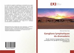 Ganglions lymphatiques du dromadaire - Fares, Mohamed Amine