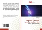 Prévention primaire des lombalgies chroniques chez Bombardier France