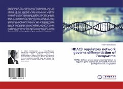 HDAC3 regulatory network governs differentiation of Toxoplasma