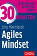 30 Minuten Agiles Mindset (eBook, PDF) - Bild 1