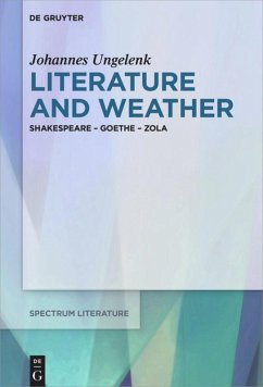 Literature and Weather - Ungelenk, Johannes