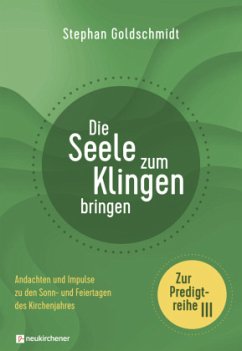 Die Seele zum Klingen bringen - Zur Predigtreihe III - Goldschmidt, Stephan