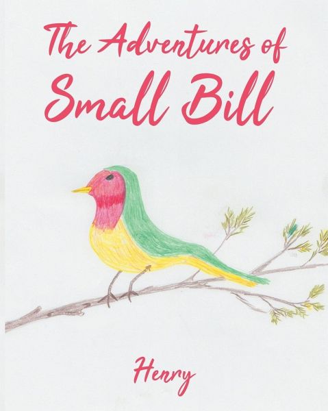 The Adventures of Small Bill The Adventures of Small Bill