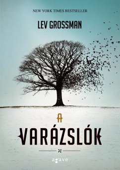 A varázslók (eBook, ePUB) - Grossman, Lev