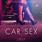 Car Sex - Sexy erotica (MP3-Download)