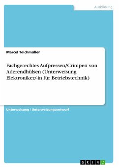 Fachgerechtes Aufpressen/Crimpen von Aderendhülsen (Unterweisung Elektroniker/-in für Betriebstechnik) - Teichmüller, Marcel