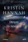 Drum în noapte (eBook, ePUB)