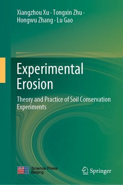Cover Experimental Erosion (eBook, PDF)