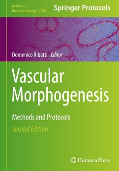 Vascular Morphogenesis