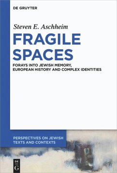 Fragile Spaces - Aschheim, Steven E.