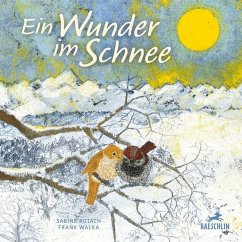 Ein Wunder im Schnee - Rotach, Sabine