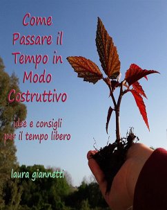 Come passare il tempo in modo costruttivo (eBook, ePUB) - Giannetti, Laura