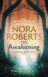 The Awakening (eBook, ePUB) - Bild 1
