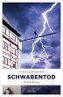 Schwabentod (eBook, ePUB) - Bild 1