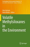 Volatile Methylsiloxanes in the Environment