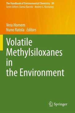 Cover Volatile Methylsiloxanes in the Environment