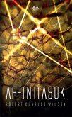 Affinitások (eBook, ePUB)