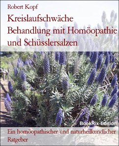 Kreislaufschwäche Behandlung mit Homöopathie und Schüsslersalzen (eBook, ePUB) - Kopf, Robert