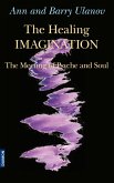 The Healing Imagination: The Meeting of Psyche and Soul (eBook, ePUB)
