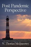 Post Pandemic Perspective (eBook, ePUB)