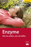 Enzyme (eBook, ePUB)
