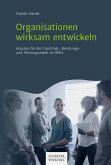 Organisationen wirksam entwickeln (eBook, PDF)