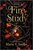Fire Study (eBook, ePUB)