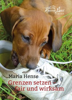 Grenzen setzen - Hense, Maria