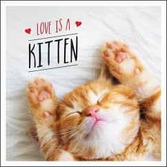 Love is a Kitten (eBook, ePUB) - Ellis, Charlie